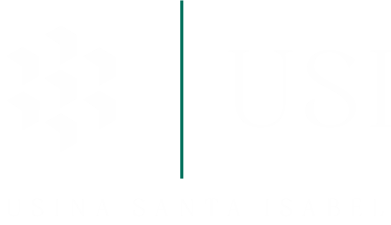 Logo USI
